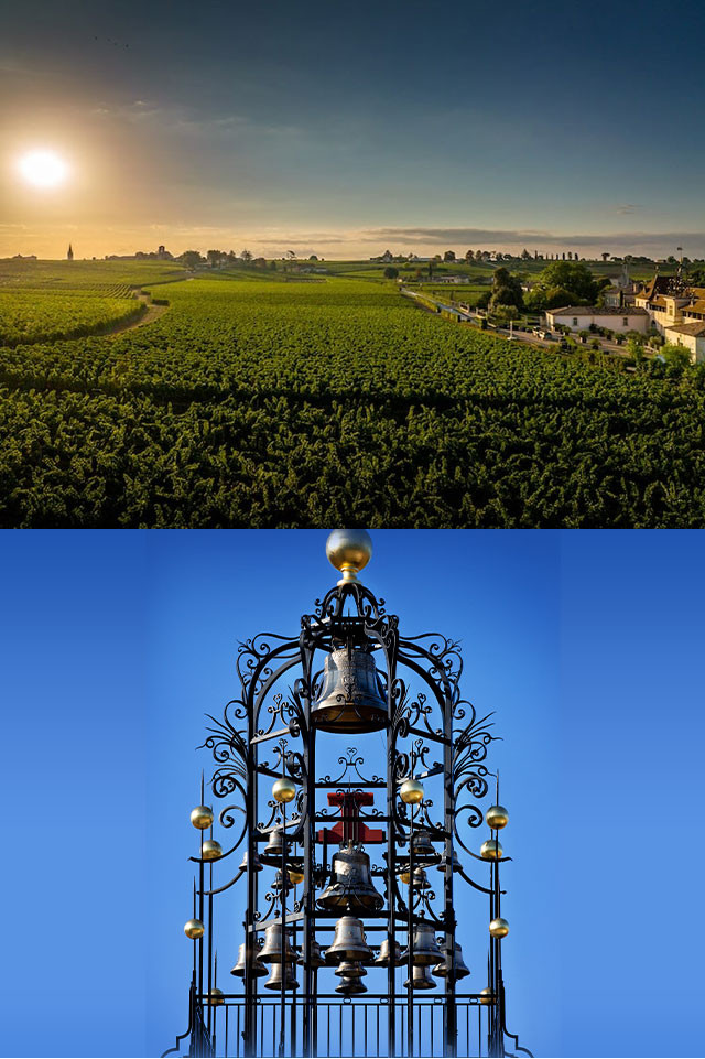 シャトー・アンジェリュスのぶどう畑とアンジェリュス・ベル