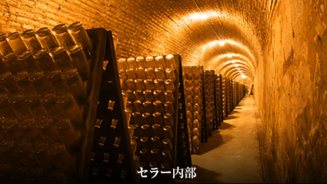 セラー内部