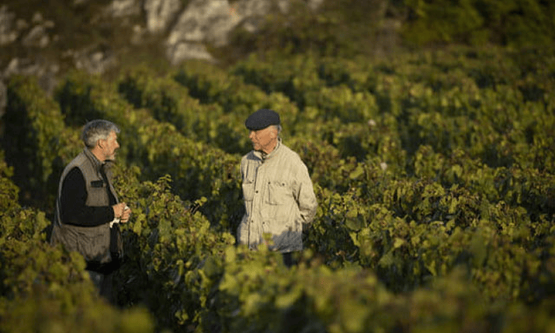 ドメーヌ・ド・ラ・ロマネ・コンティの特徴