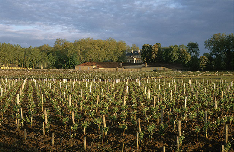 シャトー・マルゴーの歴史