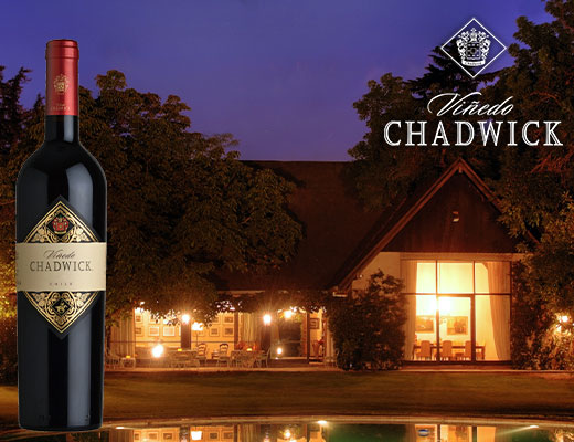 ヴィニェド・チャドウィック