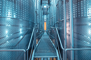 発酵と熟成11月〜12月